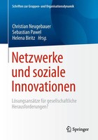 Netzwerke Und Soziale Innovationen Christian Neugebauer (U. A.) Taschenbuch Xiv