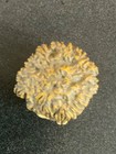 Vintage Rare Cast Away Wilson Antenna Topper — photo 5
