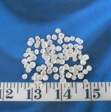 Baby Cup Shells Vintage 100 White Shellcraft Sailor's Valentines