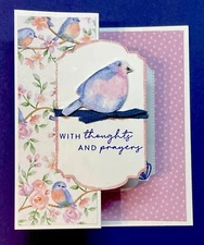 4 “With thoughts and prayers” SAB BIRDS flight & Airy DSP Fun Fold Card Kit