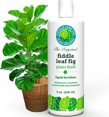 Fiddle Leaf Fig Tree Plant Food for Ficus Lyrata - Calcium Fortified, Urea-Free 