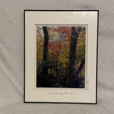 Framed Picture Of The Great Smoky Mountains With The Photographers Signature