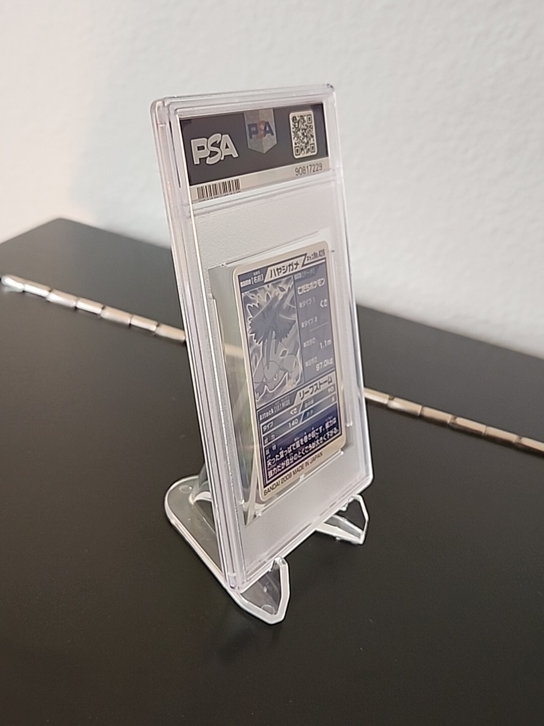 Bild 11 von 11