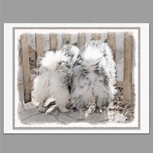 6 tarjetas de felicitación surtidas de notas artísticas en blanco para perro Keeshond - Imagen 7 de 7