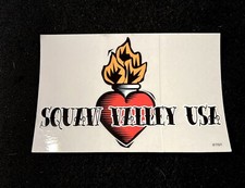 SQUAW VALLEY USA Sticker Decal Lost Name Ski Snowboard CALIFORNIA Souvenir