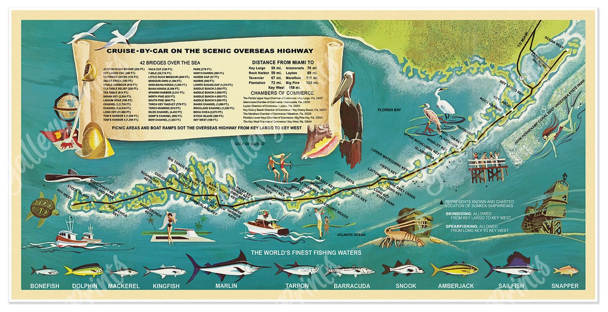 Treasure Map 