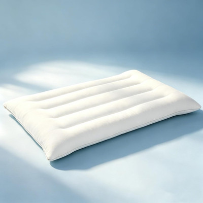 Flat Pillows for Sleeping,Ultra Thin Bed Pillows Standard Size for Stomach and S