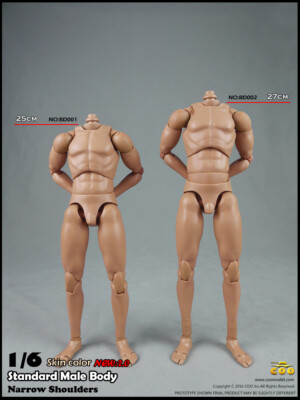 Coomodel  1/6 narrow shoulder male body BD001 BD002 12'' figure hot toys ganghood