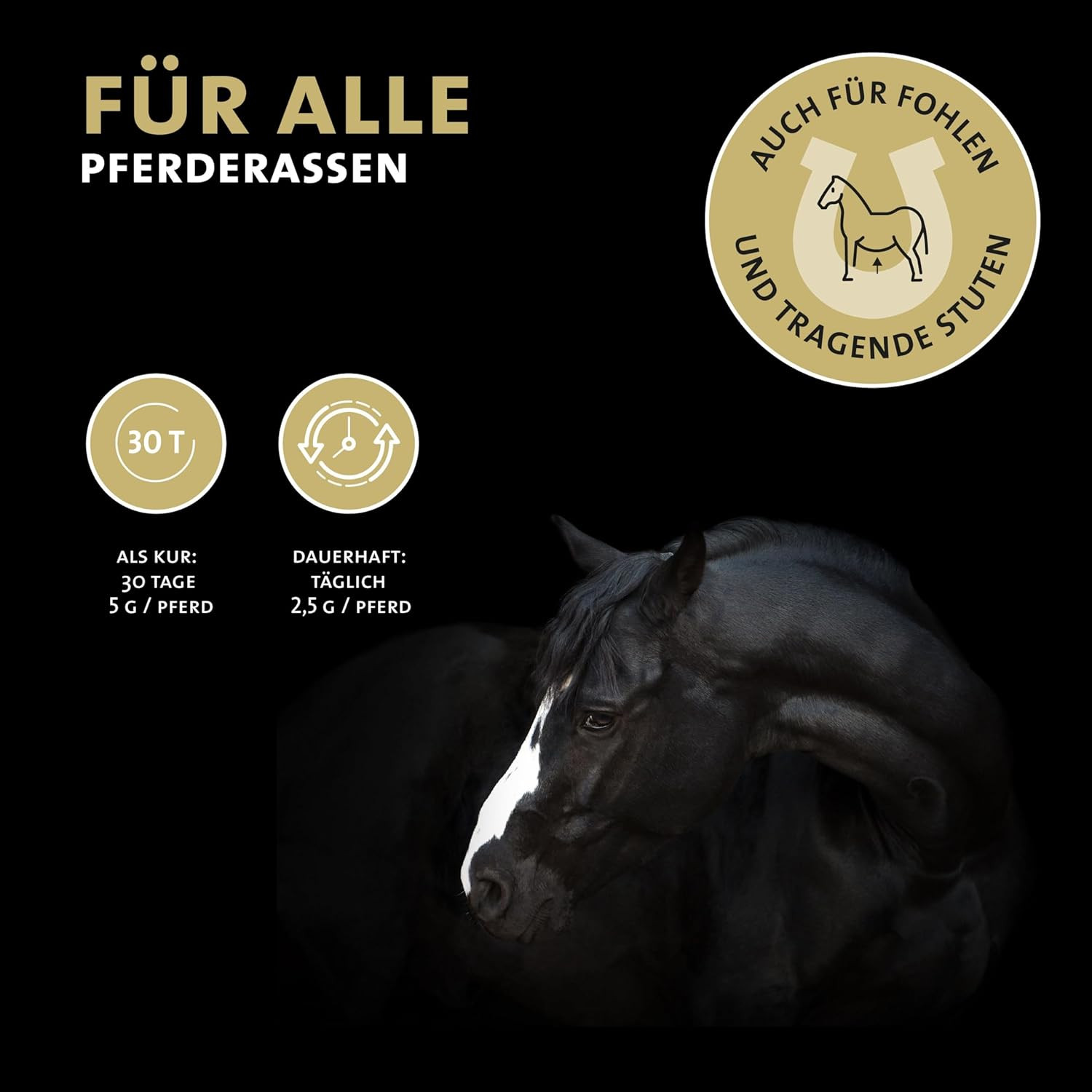 Cure articulaire en poudre pour chevaux protégeant tendons et cartilage - 3