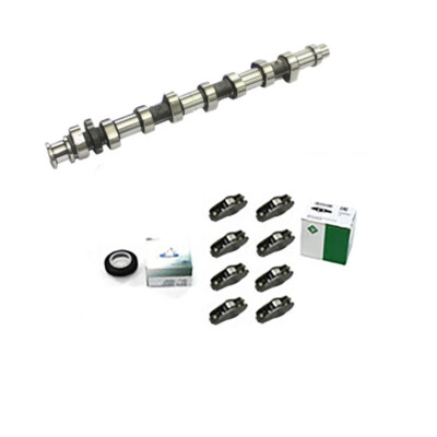 Camshaft with Drag Lever for Seat Skoda VW Audi 06B109101Q 06B109417C ALZ BG