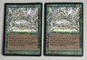 2x Carnivorous Plant - MTG - The Dark - English ©1994 NM Common