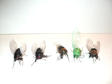 Juego de 5 Insectos Juguete Cicadas Plástico Magnético Realista 4 Negro, Uno Verde