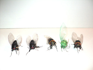 Set of 5 Toy Bugs Insects Cicadas Plastic Magnetic Realistic 4 Black, One Green