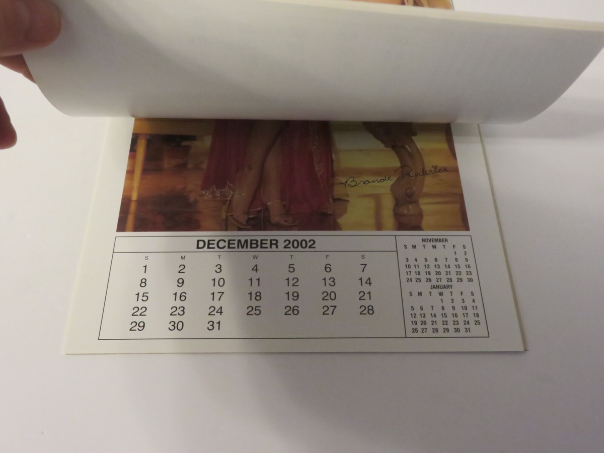 レア☆PLAYBOY ☆2004 calendar ☆カレンダー Amazon.co.jp: 2004プレイメイト・ビデオ・カレンダー [DVD