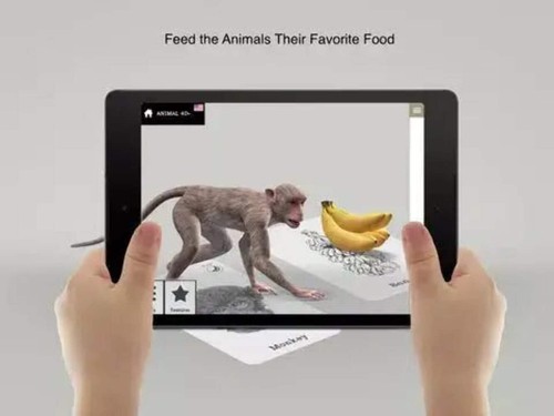 Carte Animali Ottagono 4D+ - Realtà Aumentata, Giocattolo Educativo - Foto 6 di 12