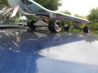 Santa Cruz x Element Custom Pool Cruiser ...................komplettes Skateboard