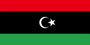 Libya Flag Self Adhesive Vinyl Sticker