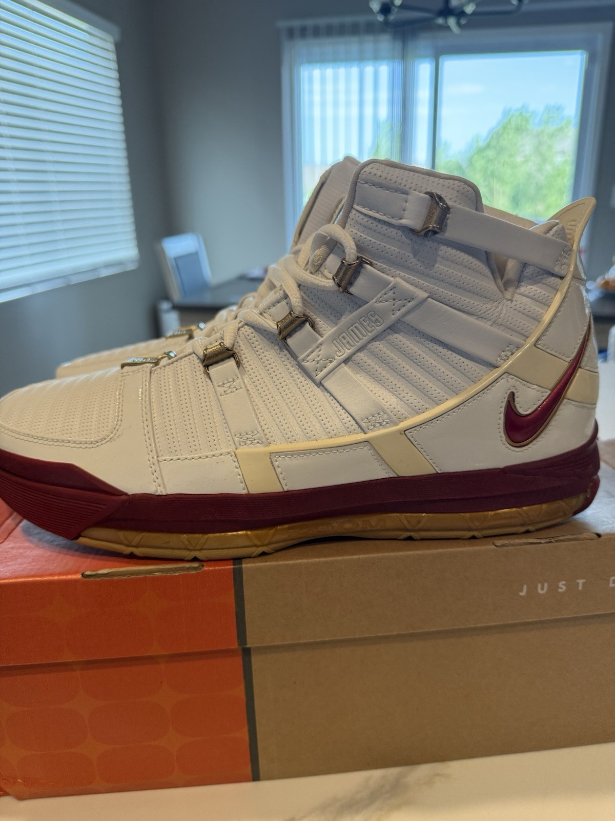 Size 10.5 LeBron 3 Sample Area code - image 4