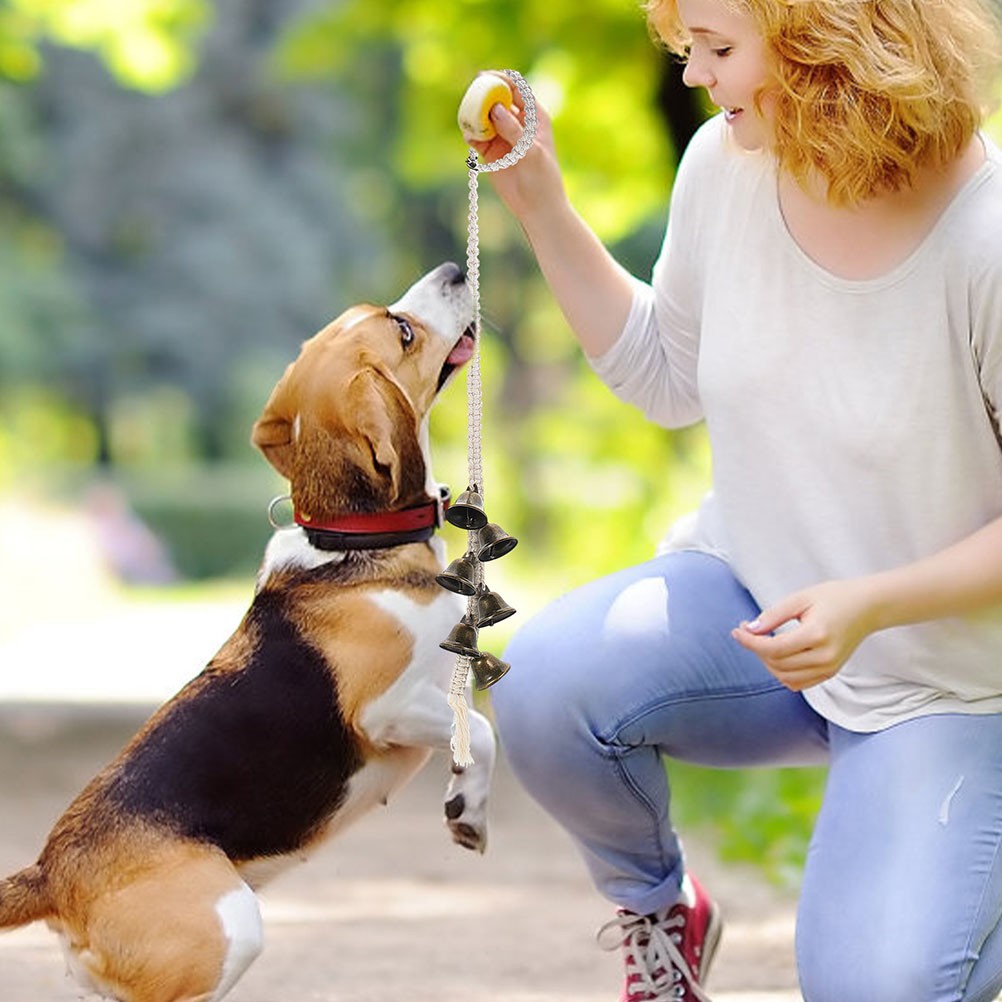 4 Count Campanello per Cani Accessori per Cani per Cuccioli Campanello Addestramento foto 4