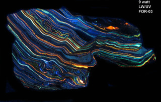 Choice SW/LW/UV Not a mineral but a unique Fordite from the Cadillac Ranch Tx.03