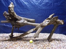XXX-Large Driftwood RARE PIECE 23"x38"x11" Aquarium Terrarium Reptile Natural