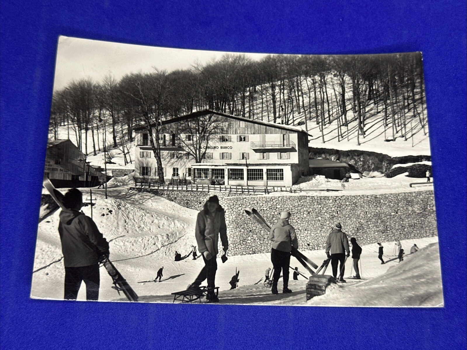 TERMINILLO PIAN DE' VALLI ALBERGO CAVALLINO BIANCO - Cartolina Bianco E Nero