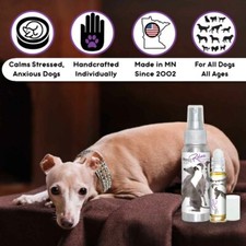 Italian Greyhound Relax Dog Aromatherapy Calms Anxious, Scared, Stressed Dogs