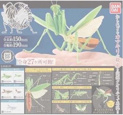 Neue Praying Mantis Serie Vol.1 Tenodera aridifolia Figur BANDAI aus Japan