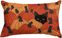 Artoid Mode KüRbisse Schwarze Katze Herbst 30X50 Cm Kissenbezug
