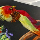 Bild 6 von 10