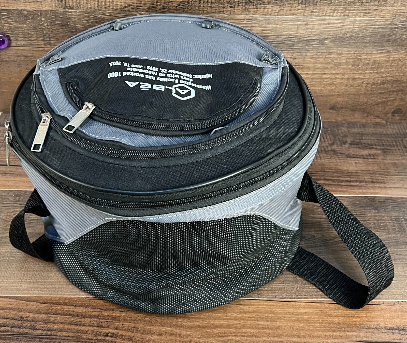 Camping Charcoal Grill In A Bag Portable Carrying Insulated Cooler Bag BBQ