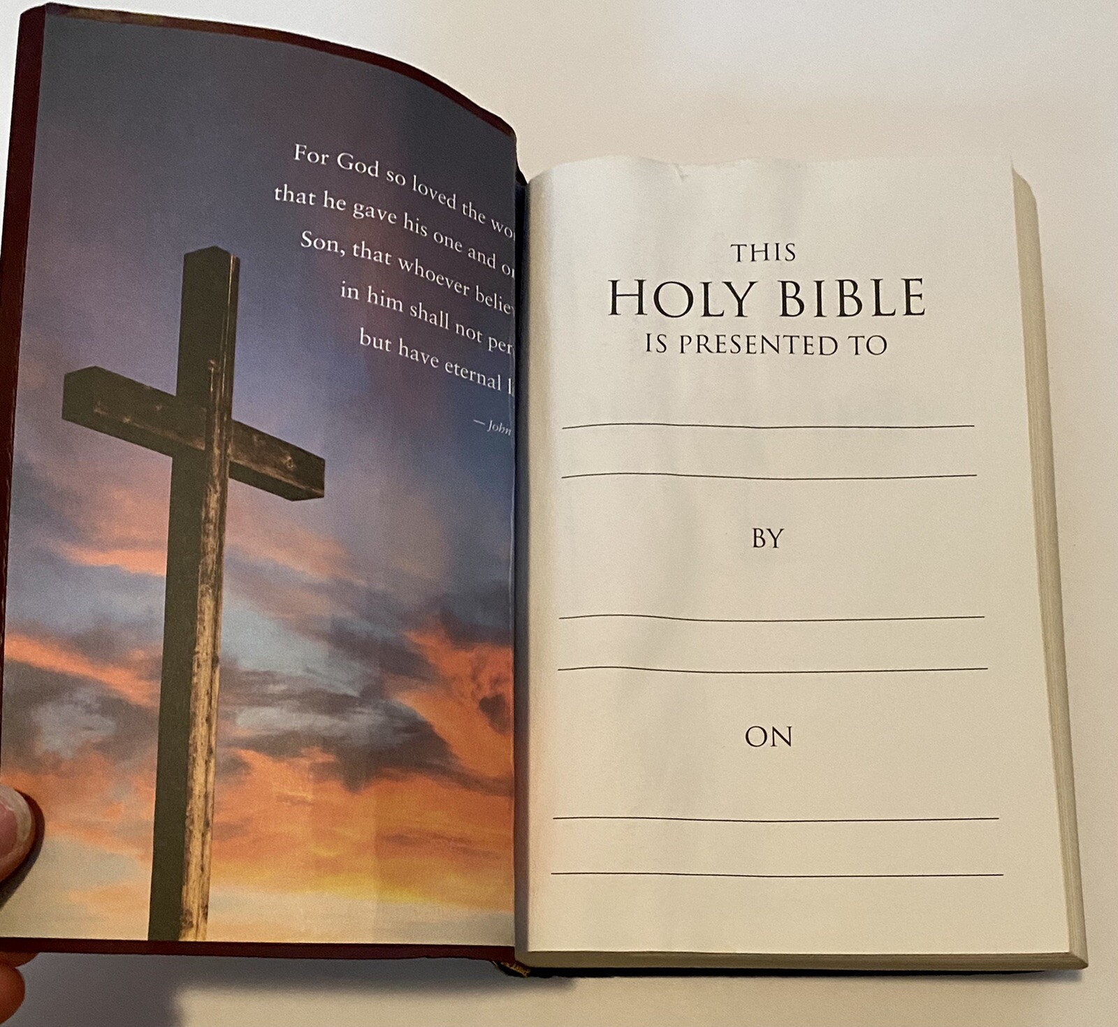 Holy Bible Zondervan NIV Reference Burgundy Leather 9780310434368 eBay