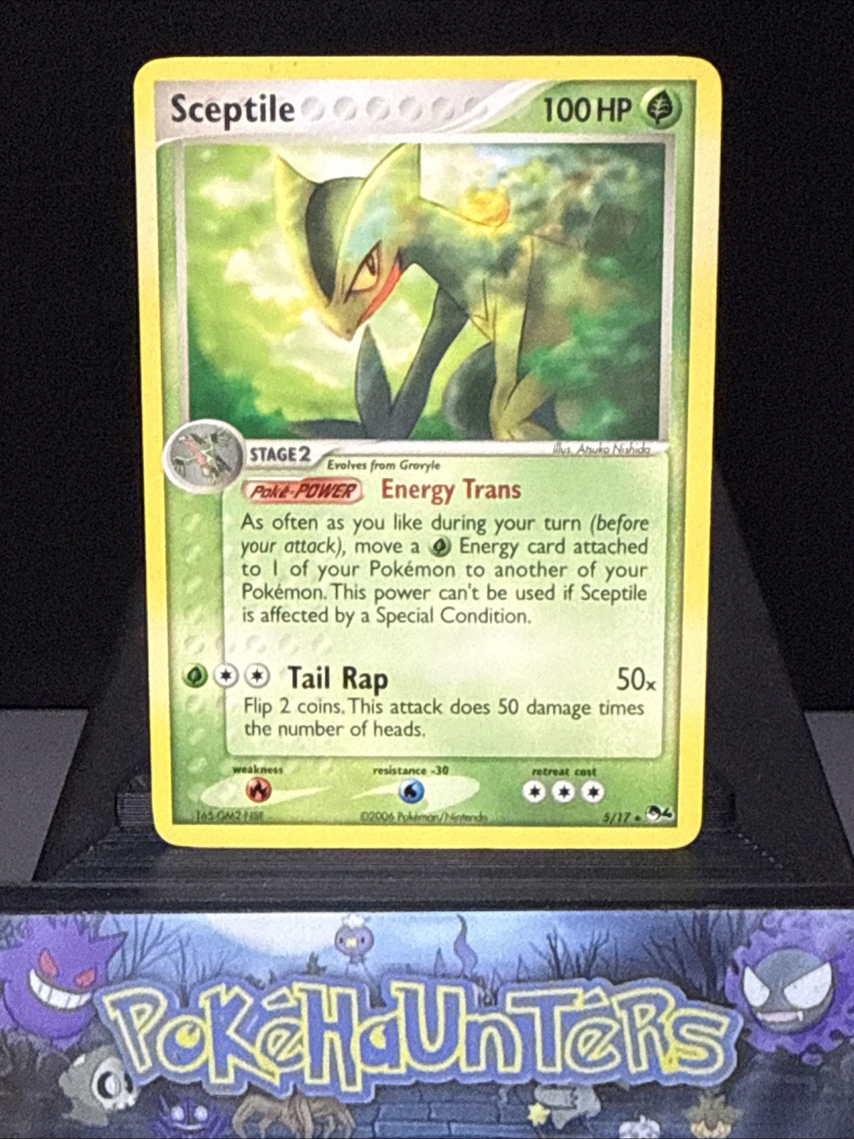 Pokemon Card Sceptile 5/17 Pop Series 4 Promo Non Holo Near Mint