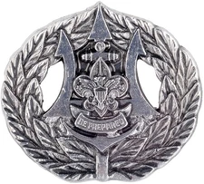 Boy Scouts BSA Sea Scout Sea Badge Participant Pin Official