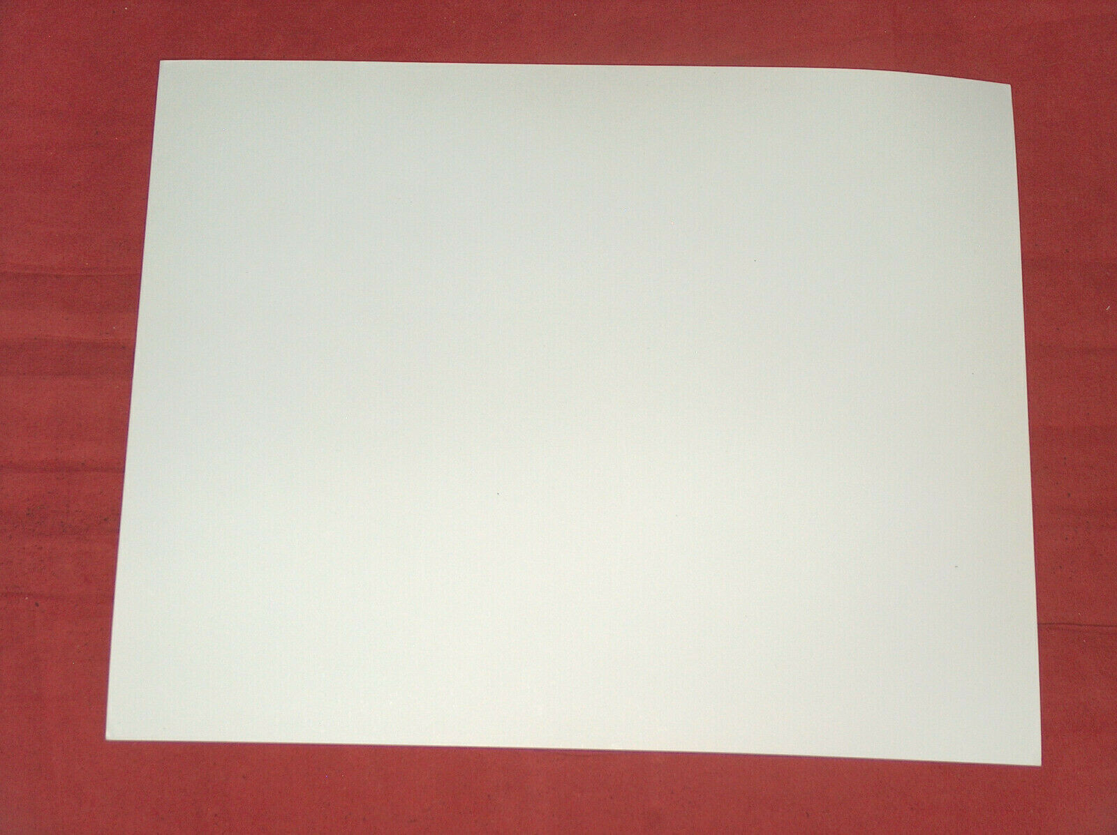 8X10" B&W Photo Music Legends Little Richard & Bill Haley Suits, Rhythm