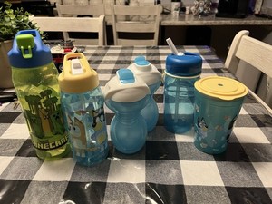 Kids Minecraft  Multicolor Plastic Water Bottles & Cups w/ Lids Straws Set of 5