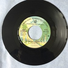 DOUG KERSHAW: I’m Just A Nobody / House Husband 7” 45 DJ PROMO Cajun NOS WB MINT