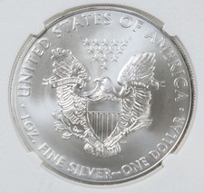 American Eagle MS 70 Graded 2013 Silver Bullion Coins for sale | eBay