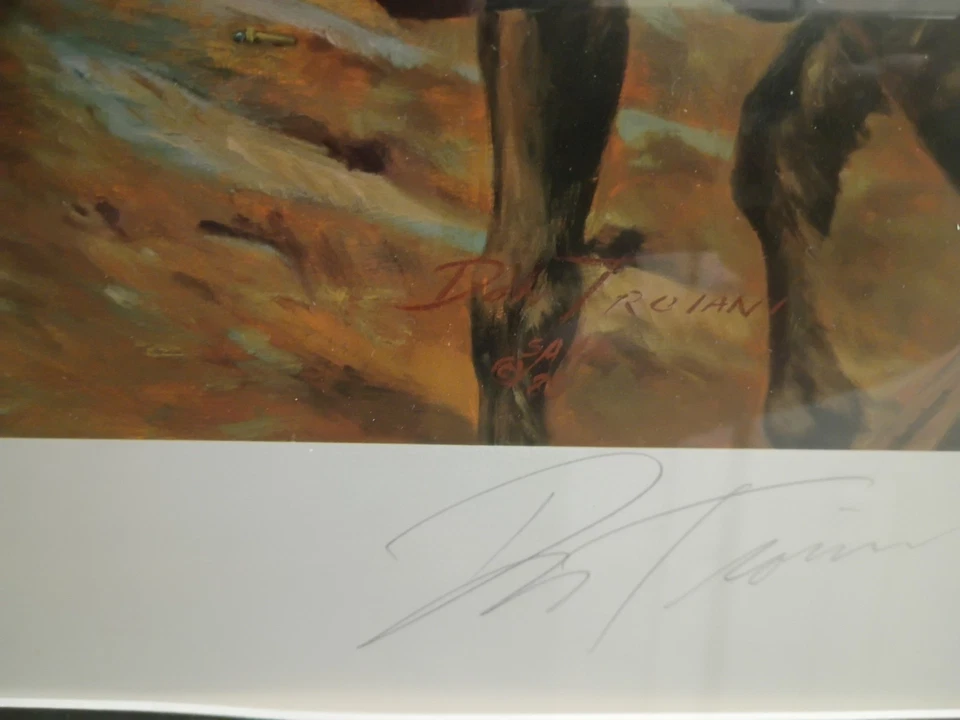 Дон Трояни - Южная сталь - печать времен гражданской войны - в рамке - Изображение 4 из 4