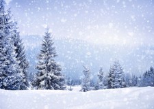 10x8FT Vinyl Photography Studio Backdrop Fairy Winter Landscape with Fir Trees