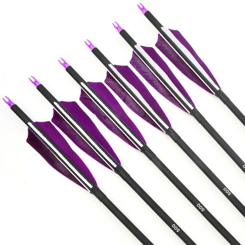 30" Archery Carbon Arrows 4" Turkey Feather SP500 Compound Recurve Bow Hunting - Picture 11 of 11