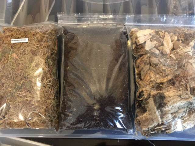 Isopod Starter Kit Everything you need to start a colony! Spider Millipede Isopod Starter Kit Everything you need to start a colony! Spider Millipede