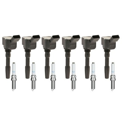 Eldor 6 Ignition Coils NGK Iridium Spark Plugs Kit for A6 Q7 Cayenne Panamera