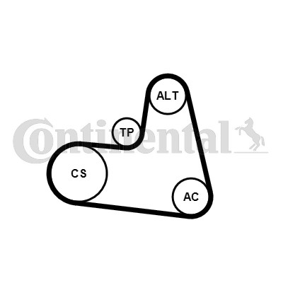 CONTINENTAL CTAM 6PK1217K1 V-Ribbed Belt Set for CITROËN,FIAT,FORD,LANCIA,PEUGEO