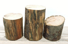 3 Apple Wood Stick Log Chunk 3"D 2 5"L Pillar Live Edge Driftwood Sequal Grain
