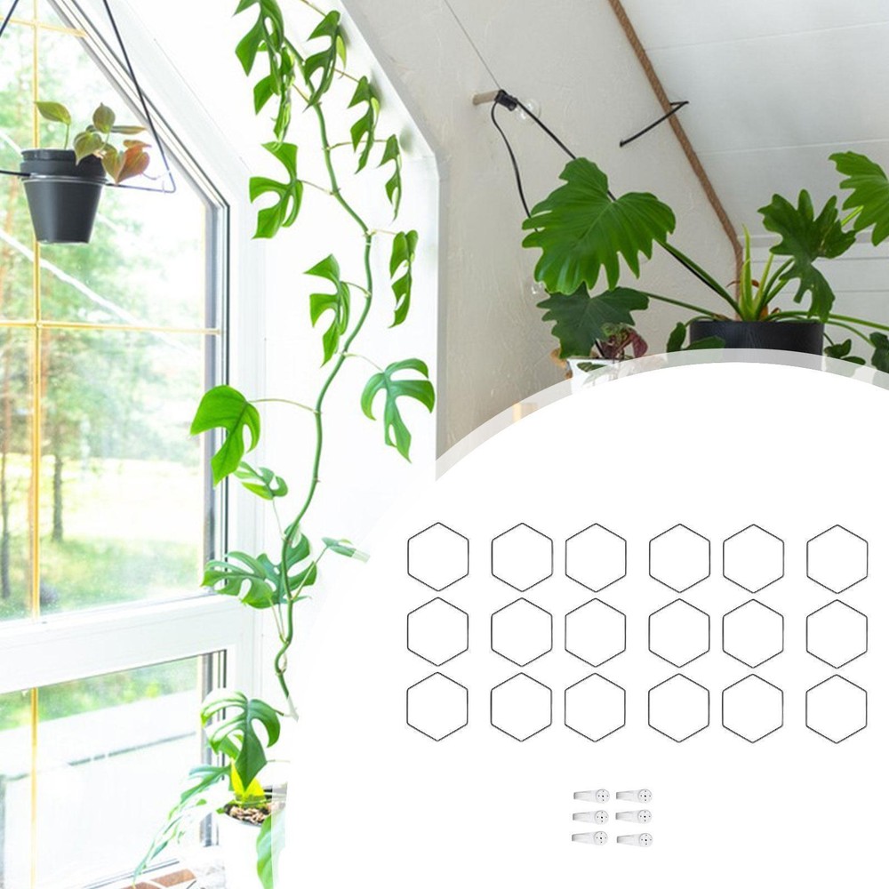 Indoor Plant Trellis Plant Support for Plant Monstera Potted Climbing Plants