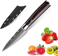 3.5'' Kitchen Paring Knife Stainless Steel Japanese Damascus Style Chef's Knife