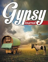 Gypsy Journal | Speedy Publishing Llc | Taschenbuch | Kartoniert / Broschiert