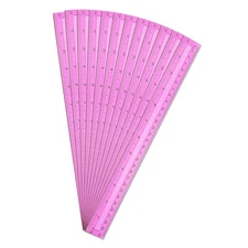 12 Inch Clear Plastic Rulers, 24pcs Inches Centimeter Rulers Supplies, Purple