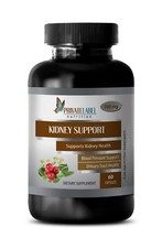 immune support supplement - KIDNEY SUPPORT - cranberry pills - 1 Bottle 60 Caps